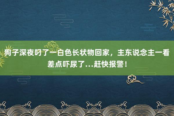 狗子深夜叼了一白色长状物回家，主东说念主一看差点吓尿了…赶快报警！