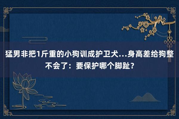 猛男非把1斤重的小狗训成护卫犬…身高差给狗整不会了：要保护哪个脚趾？