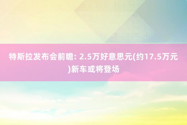 特斯拉发布会前瞻: 2.5万好意思元(约17.5万元)新车或将登场