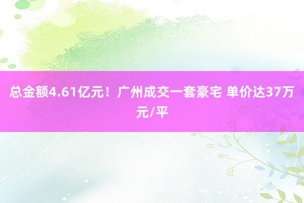 总金额4.61亿元！广州成交一套豪宅 单价达37万元/平