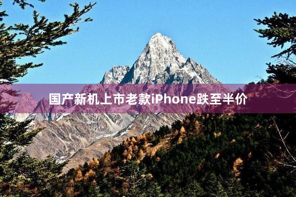 国产新机上市老款iPhone跌至半价