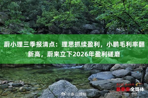 蔚小理三季报清点：理思抓续盈利，小鹏毛利率翻新高，蔚来立下2026年盈利磋磨